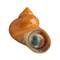 Vintage 14 carat gold Mata Biak ring-Vintage Rings-The Antique Ring Shop