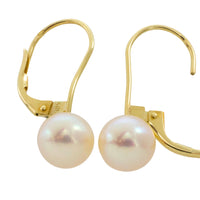 Pear pendant earrings in 14 carat gold-Earrings-The Antique Ring Shop